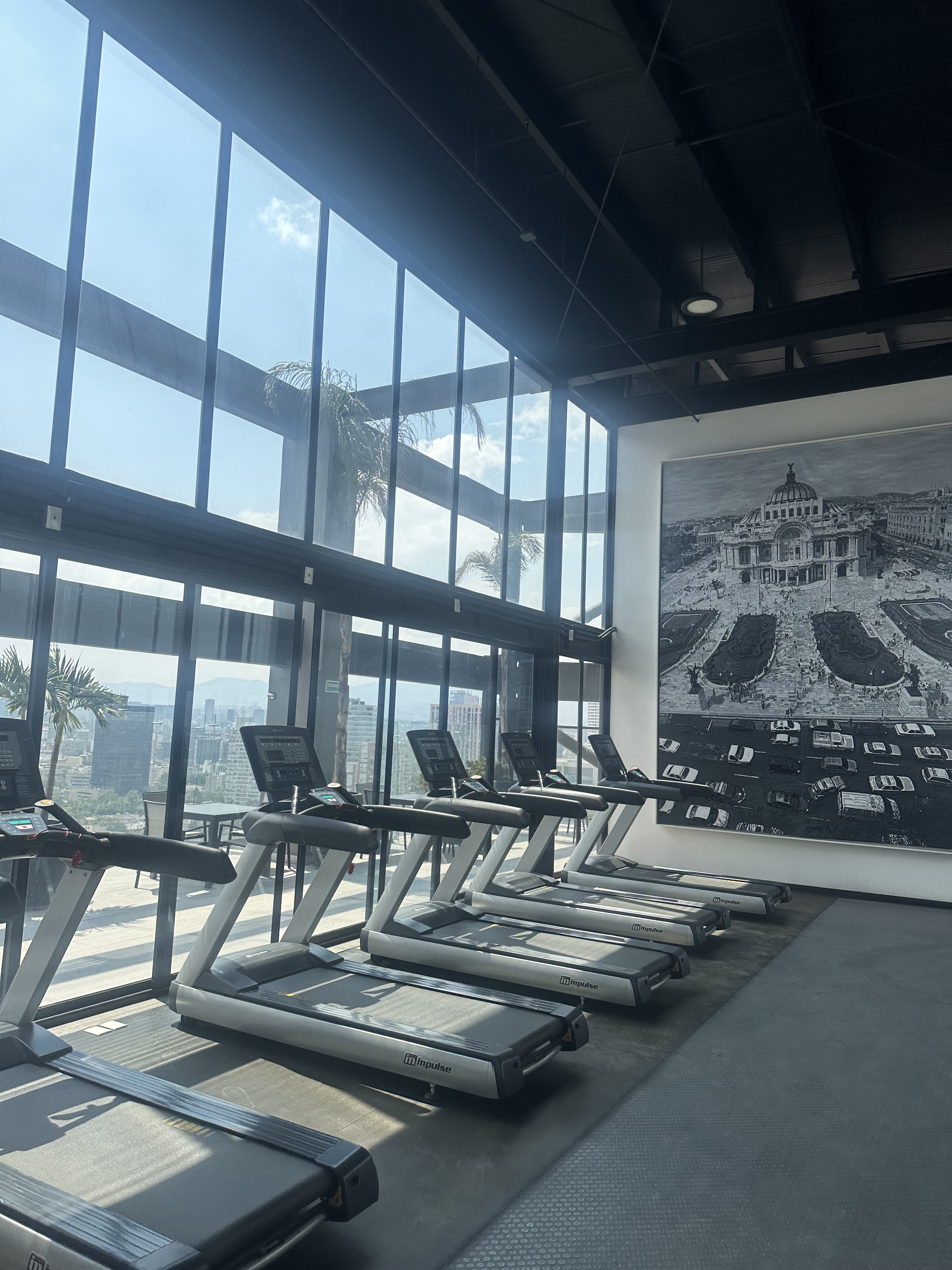 Sky Gym